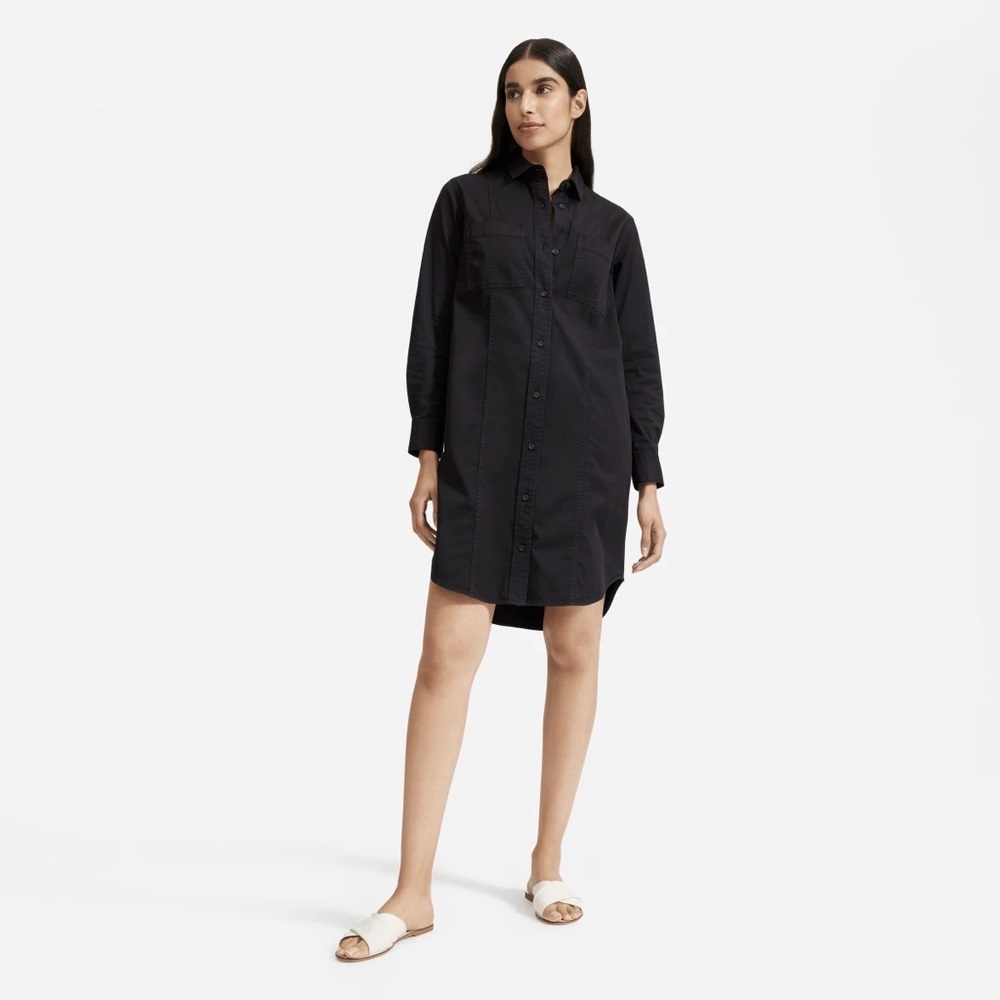 Everlane Modern Utility Shirtdress
